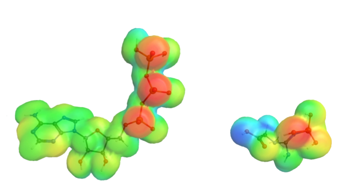 Creatine: The why and the how